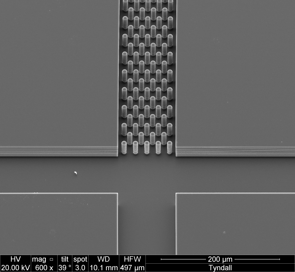 SEM of micron-structured pillars in the stationary phase of the capillary of the CE chip